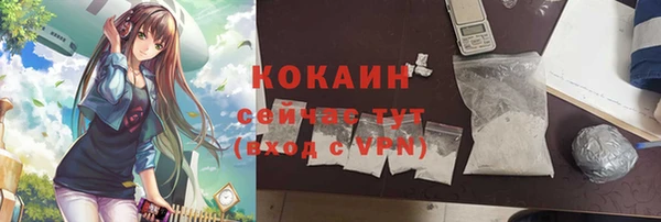 твердый Инта