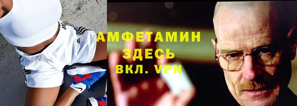 твердый Инта