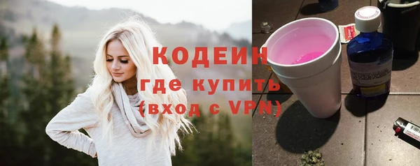 твердый Инта