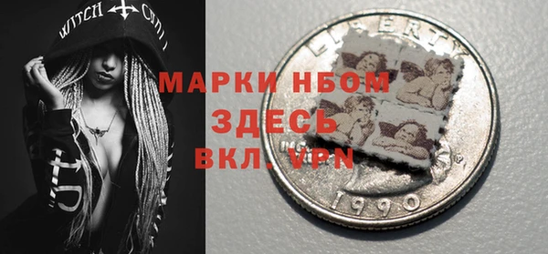 твердый Инта